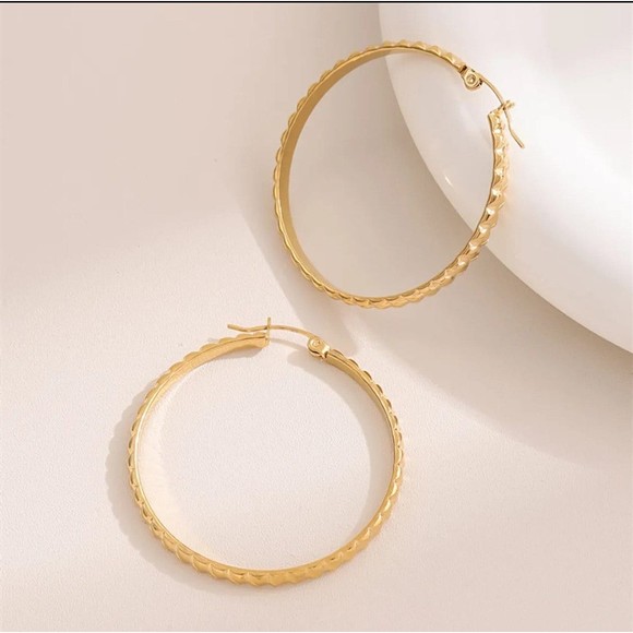 Round Planting Stainless Steel 18K gold plated Hoop‎ Earrings - Picture 2 of 3